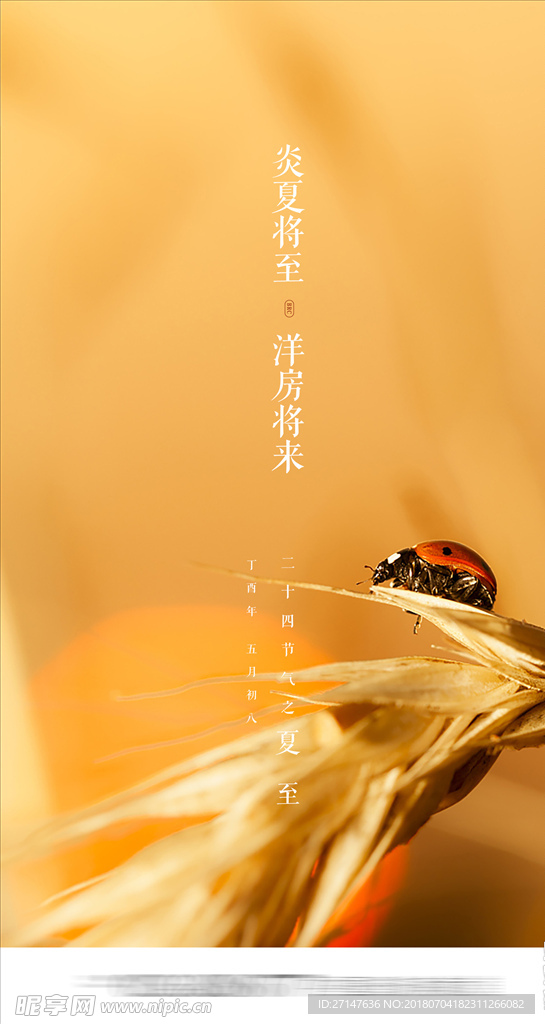 夏至