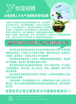 招聘素材