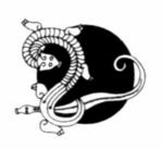 古典龙纹 鼎纹 古典花纹 中