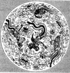 古典龙纹 鼎纹 古典花纹 中国