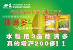 甘洪浩穗