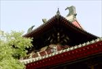隆兴寺