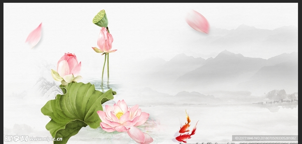 荷花背景