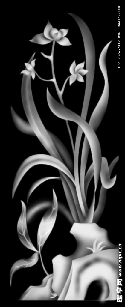 兰花