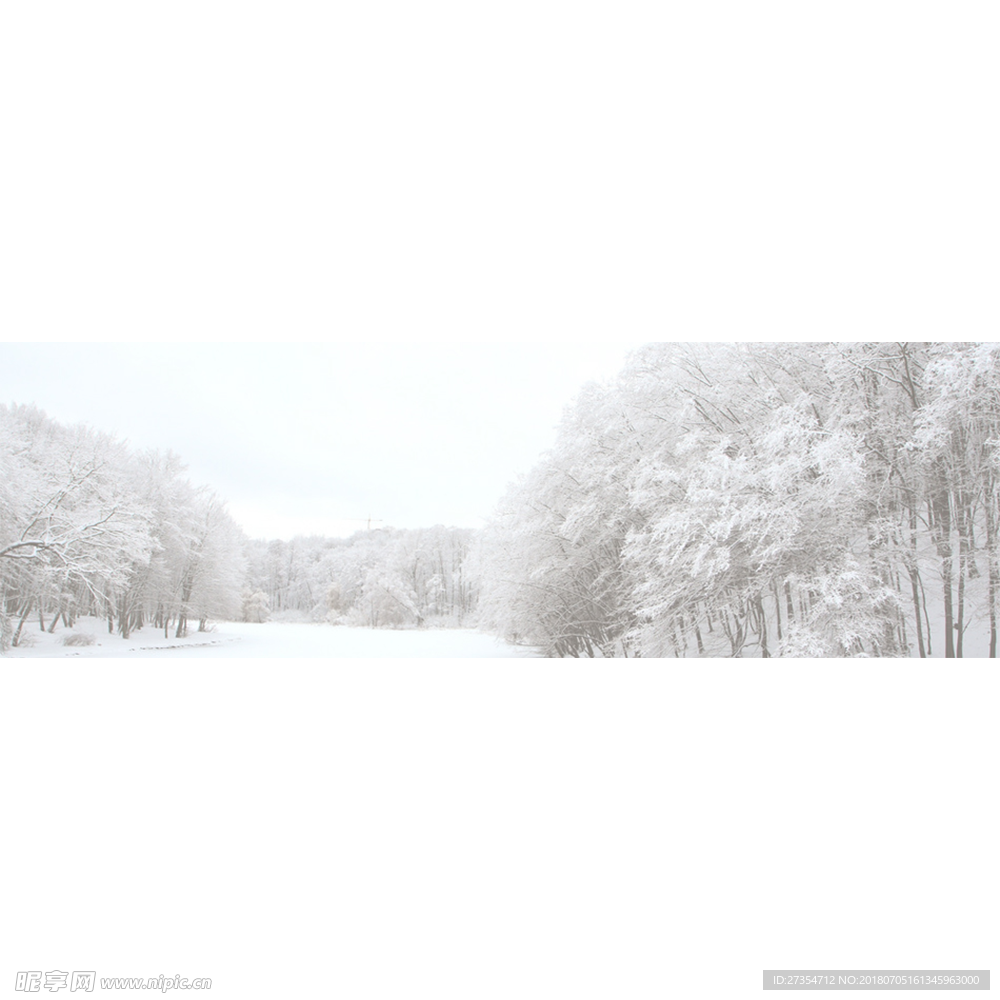 白色背景
