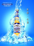 啤酒海报