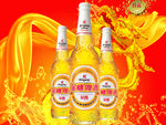 金威啤酒