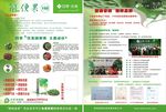四季优美随便果 单页