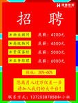 招聘  海报