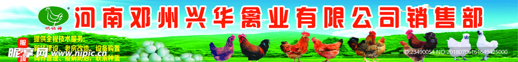 兴华鸡场招聘