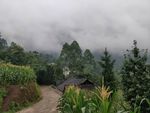 云雾缭绕