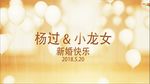 浪漫婚礼AE片头