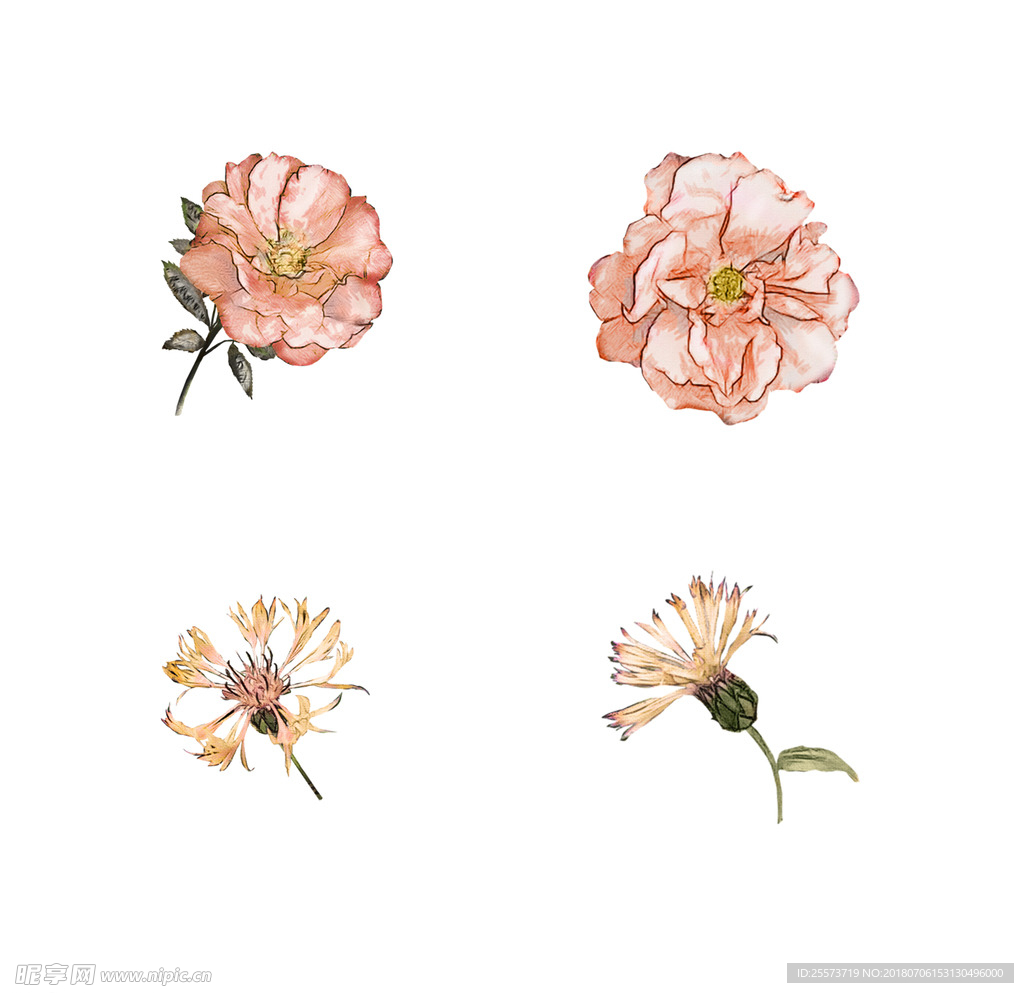 手绘花