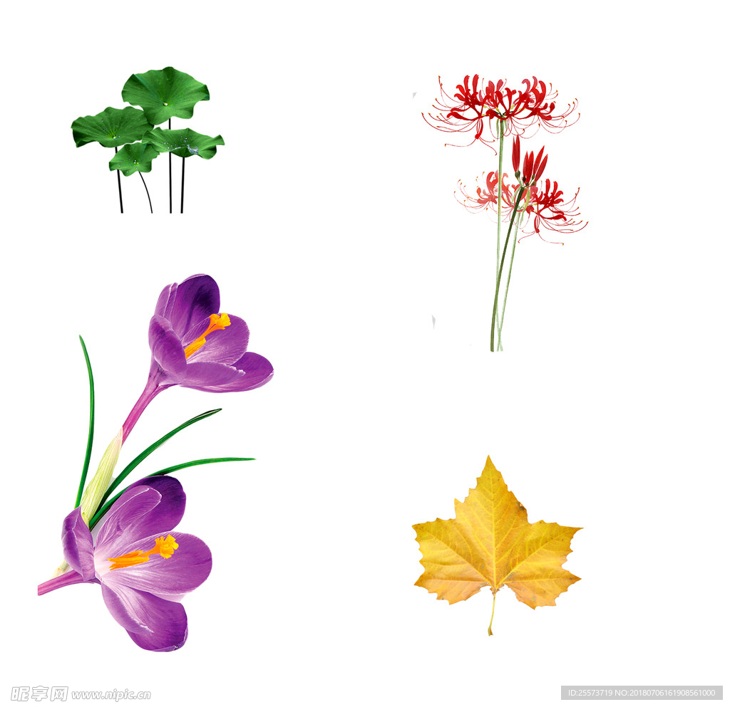 花