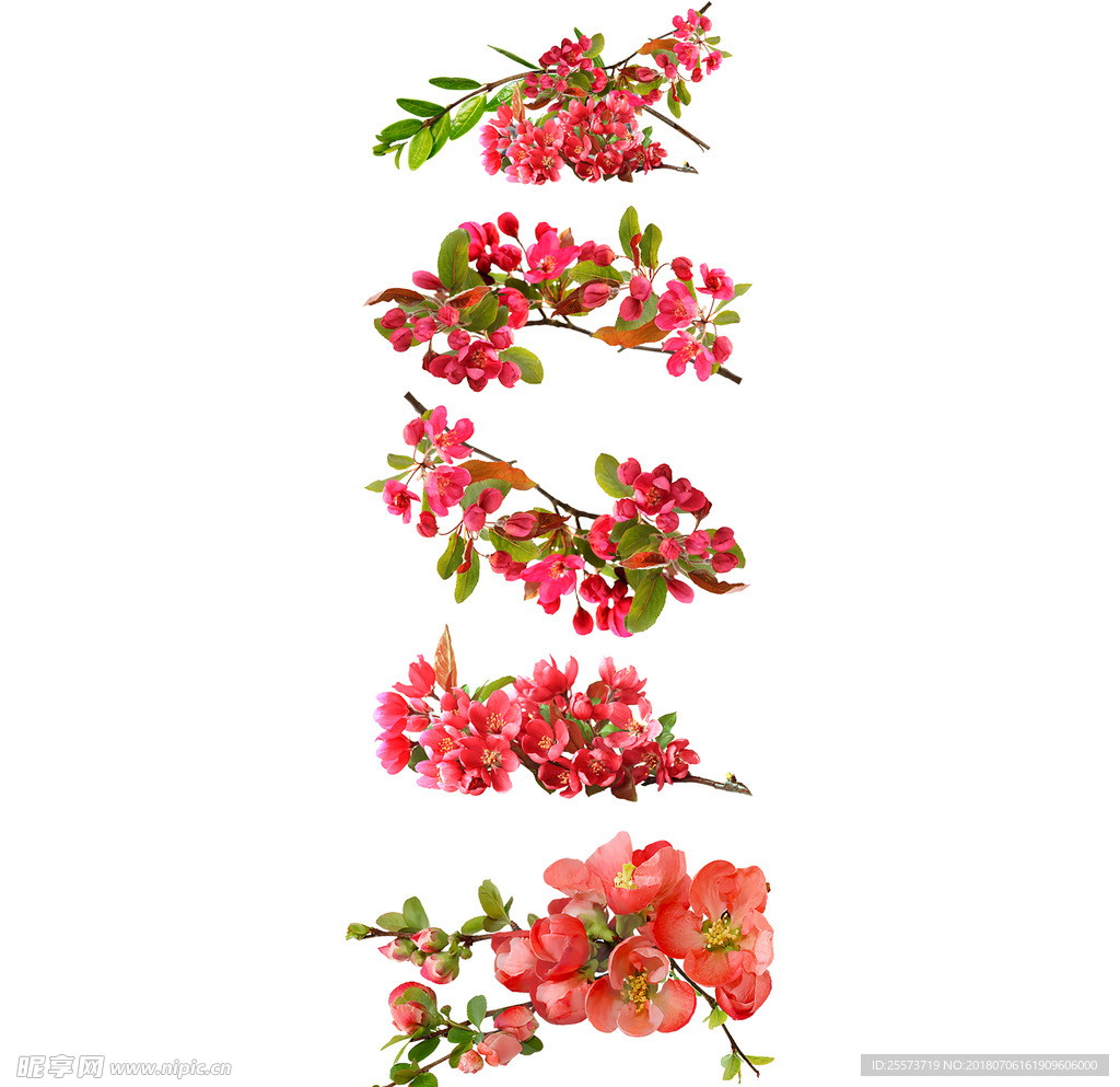 花
