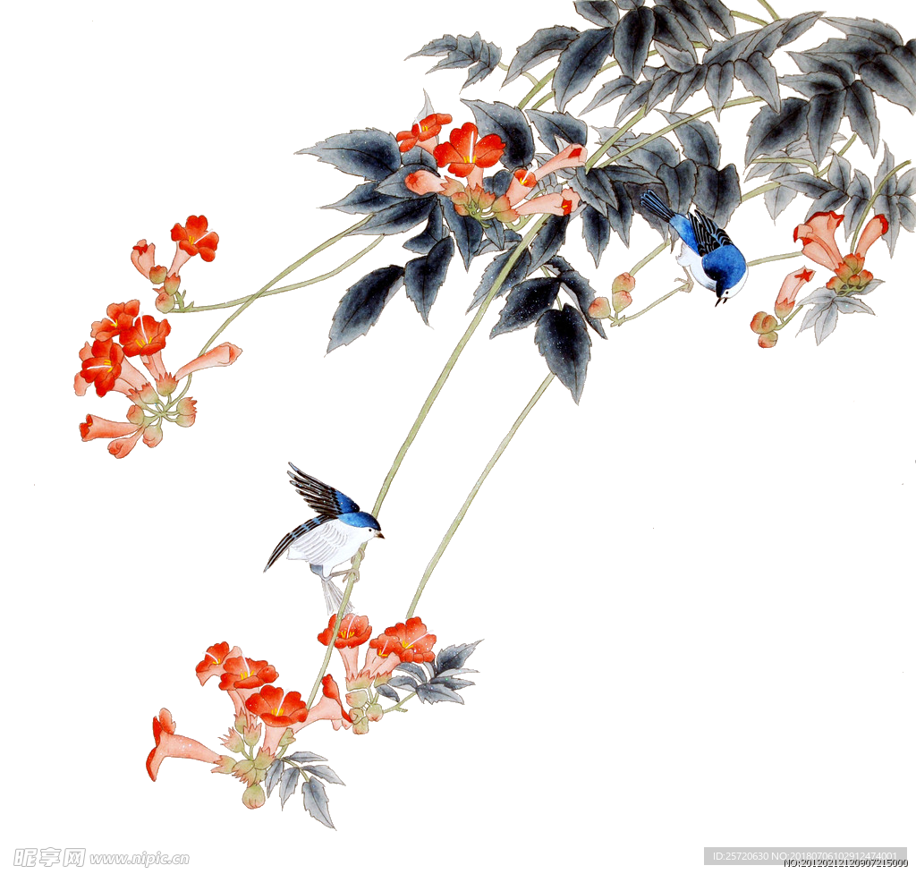 喇叭花