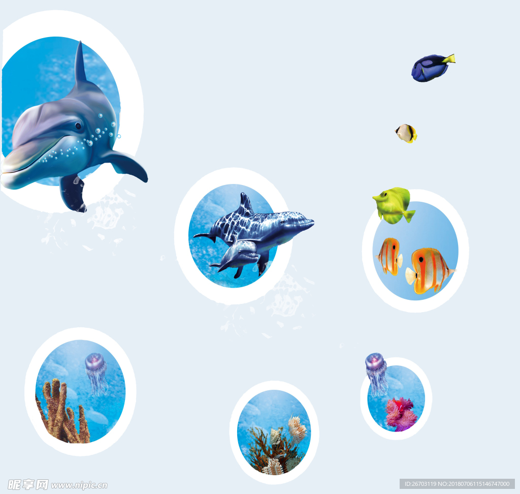 海豚