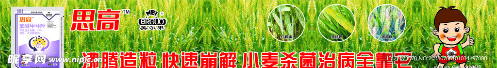 小麦