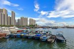 港湾渔船