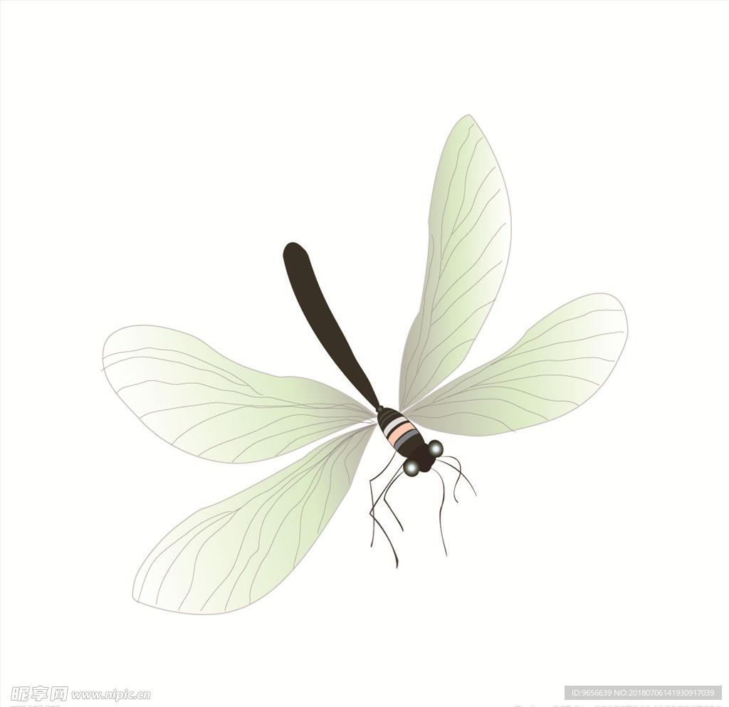 蜻蜓