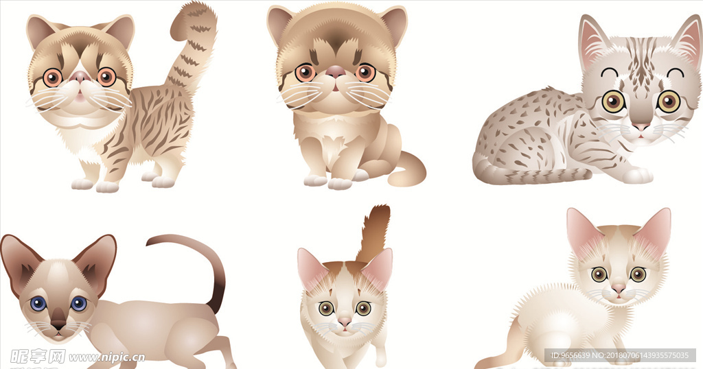 卡通猫