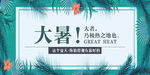 清新唯美中国风24节气大暑海报