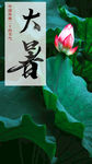 大暑手机海报