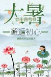 大暑荷花绽放723炎热夏日宣传