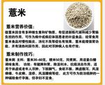 薏米宣传