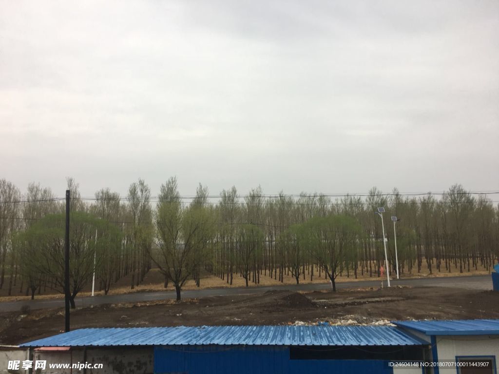 野外