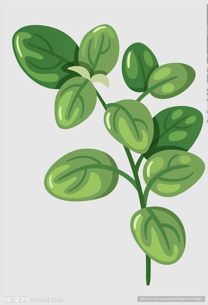 植物树叶图片