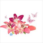 花边花纹图片