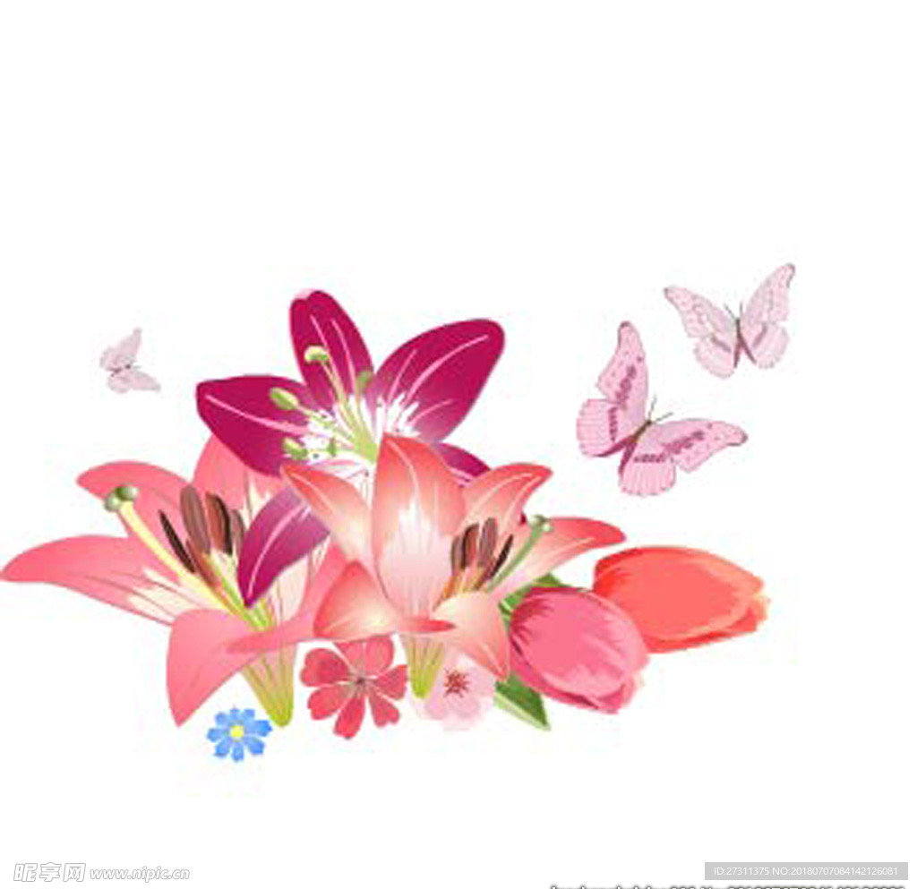 花边花纹图片