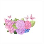 花边花纹图片