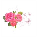 花边花纹图片