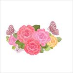花边花纹图片