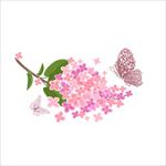 花边花纹图片