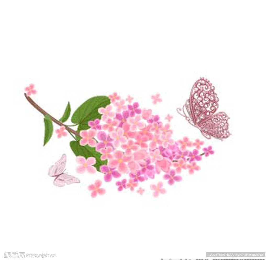 花边花纹图片