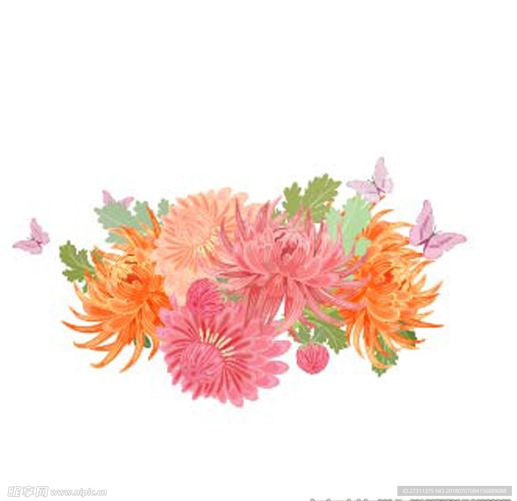 花边花纹图片