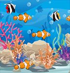 海洋生物图片