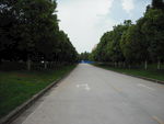 马路