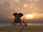 治愈系萌物凳上的大象和小狗背影