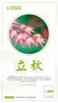 24节气立秋