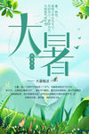 二十四节气大暑清新海报
