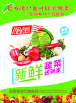 新鲜水果蔬菜