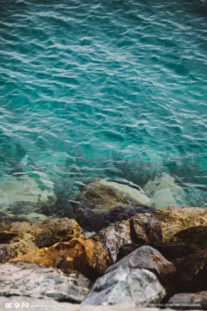 海洋