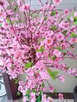 桃花 开满花 花朵 假花 花瓣