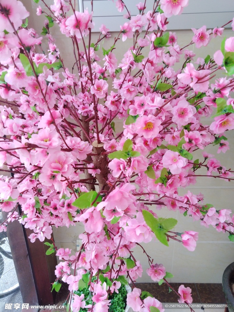桃花 开满花 花朵 假花 花瓣