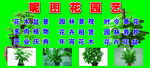 花卉 喷绘 门头 门牌 花店门