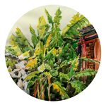 芭蕉